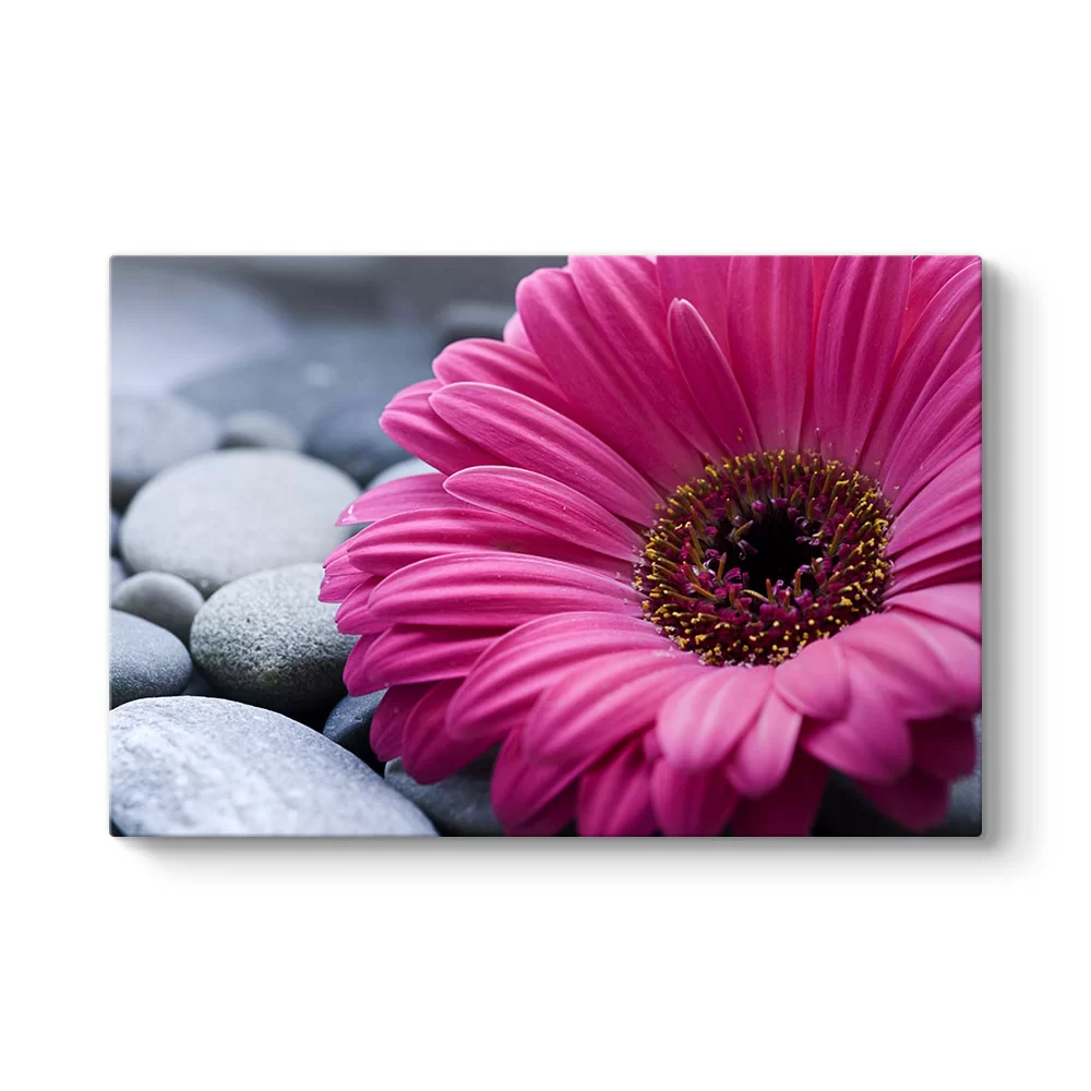 Gerbera & Taşlar Tablosu - Model 1